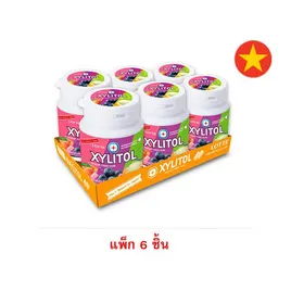 ลอตเต้ หมากฝรั่งไซลิทอลกลิ่นผลไม้รุ่นขวด 52.