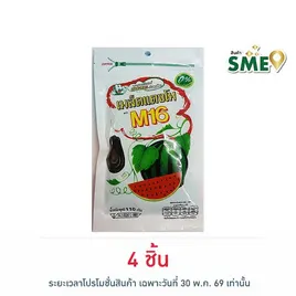 M16 เมล็ดแตงโม